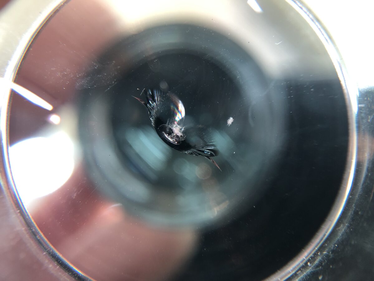 フロントガラス飛び石傷修理前