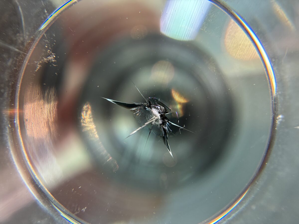 フロントガラスの飛び石傷修理　ステップワゴン