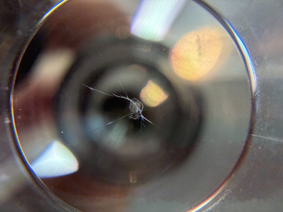 ガラスリペア作業後　ステップワゴン