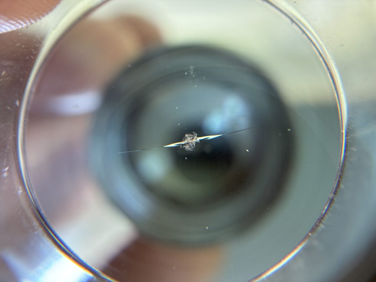 フロントガラスの飛び石傷修理は早めの対処が重要です。