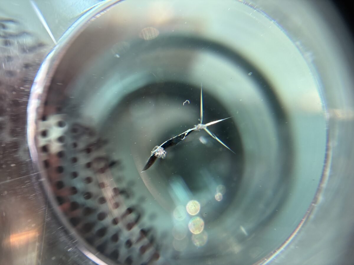 フロントガラスの飛び石傷、内部でヒビが繋がっています。