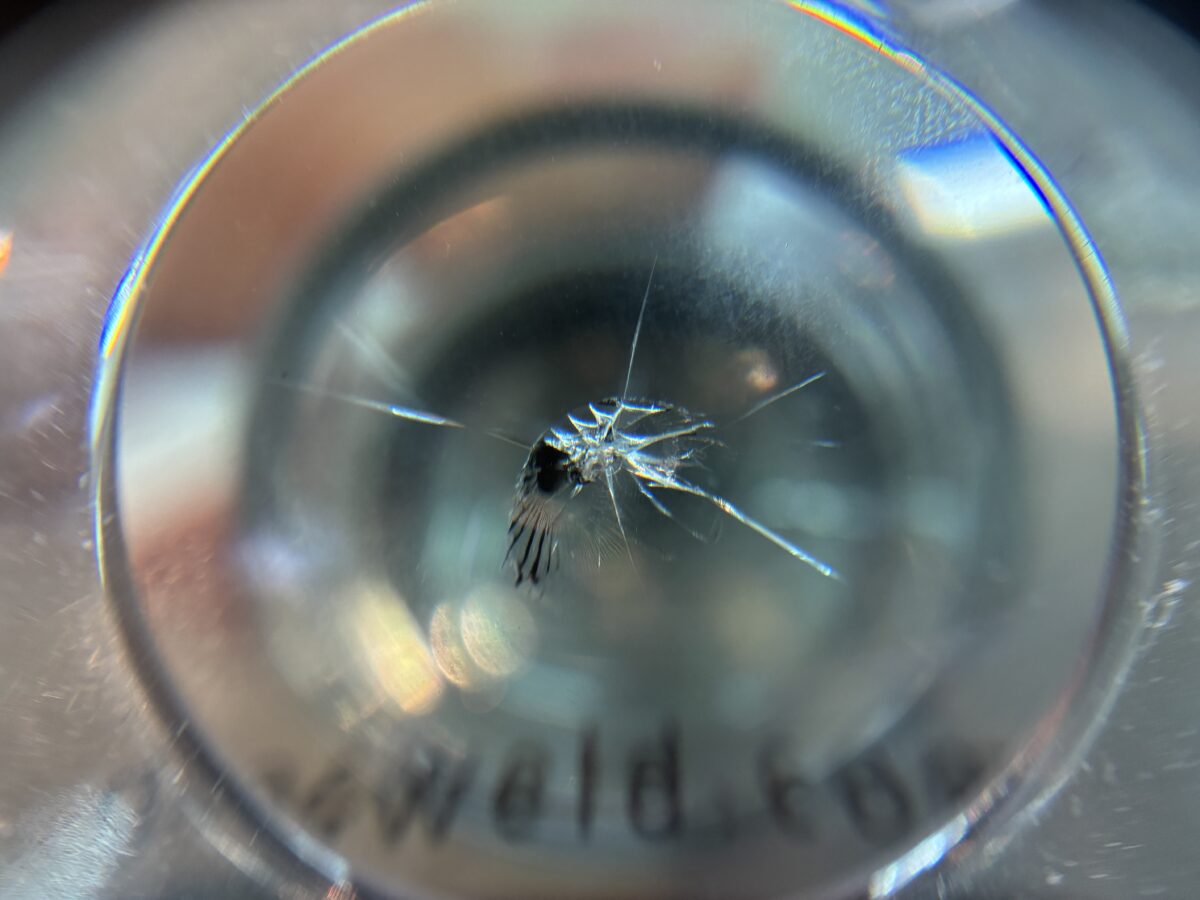 フロントガラス下部に出来た飛び石傷は修理出来る?